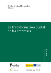 Transformación digital empresas/ C. Molina / 9791387543150