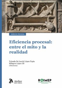 Eficiencia procesal / M. López/ Y. de Lucchi/ 9791387543167