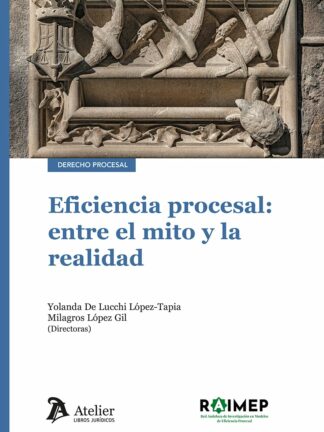 Eficiencia procesal: entre el mito y la realidad