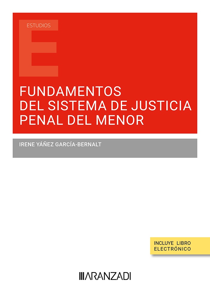 Fundamentos sistema justicia penal menor