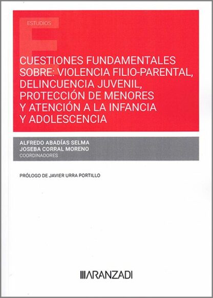 Cuestiones fundamentales sobre: Violencia filio-parental, delincuencia juvenil, protección de menores y atención a la infancia y adolescencia