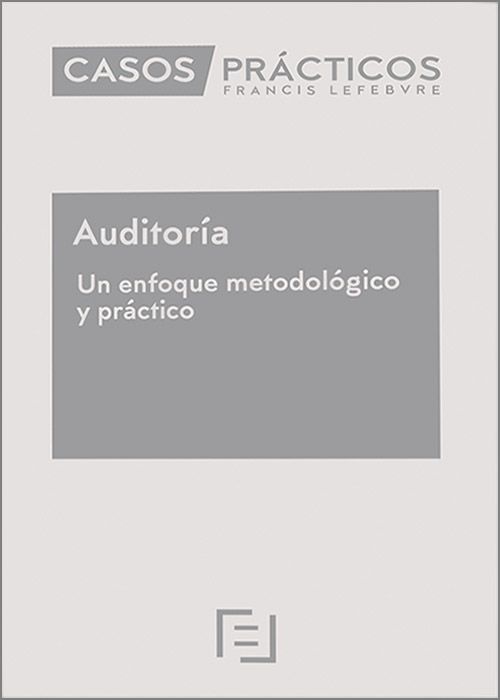 Casos prácticos auditoría/ J.A. Trigueros/ 9788410431317