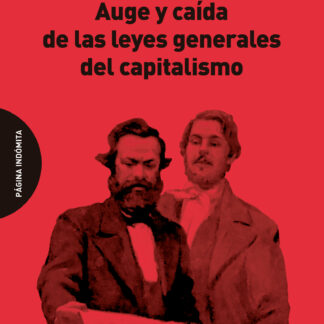 Auge y caída de las leyes generales del capitalismo