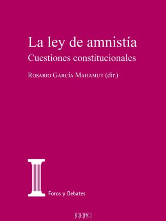 Ley de amnistía. Cuestiones constitucionales