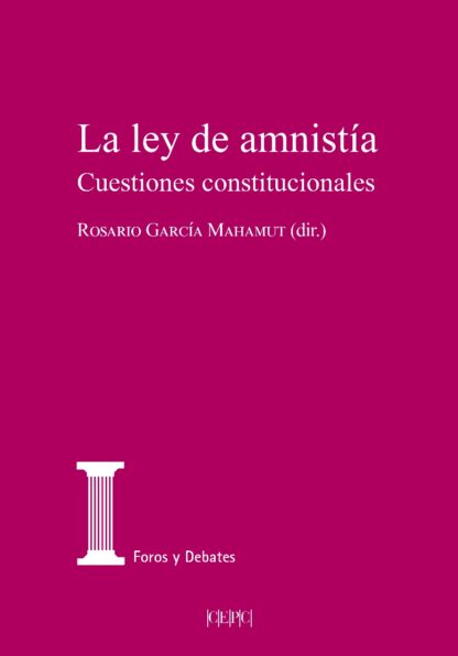 Ley de amnistía. Cuestiones constitucionales