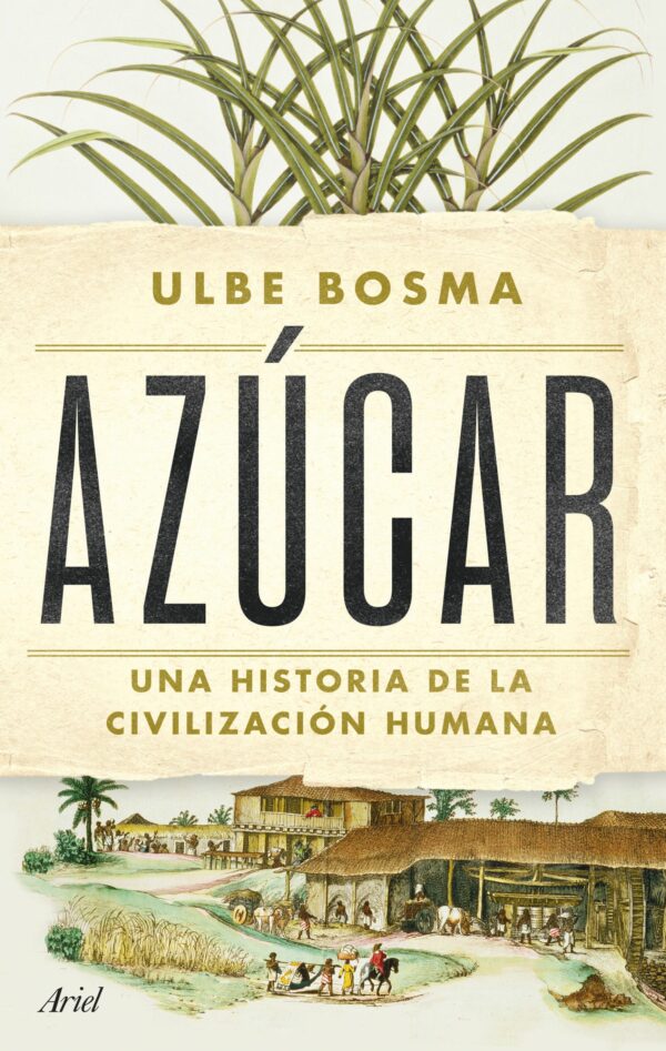 Azúcar historia civilización humana/ U. Bosma / 9788434438286