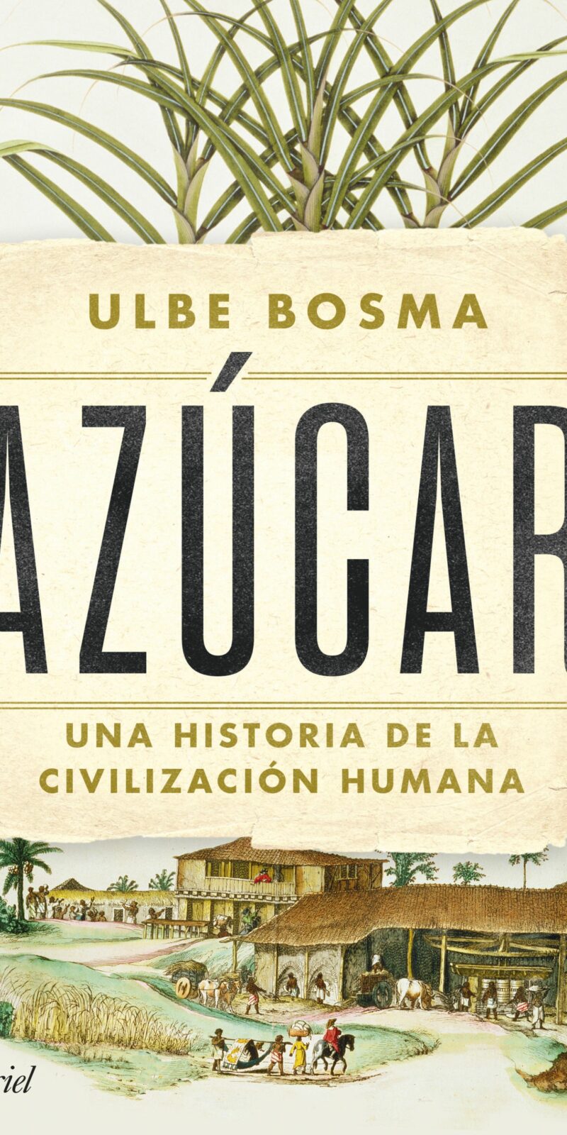Azúcar historia civilización humana/ U. Bosma / 9788434438286