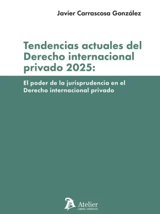 Tendencias actuales del derecho internacional privado 2025: El poder de la jurisprudencia en el derecho internacional privado