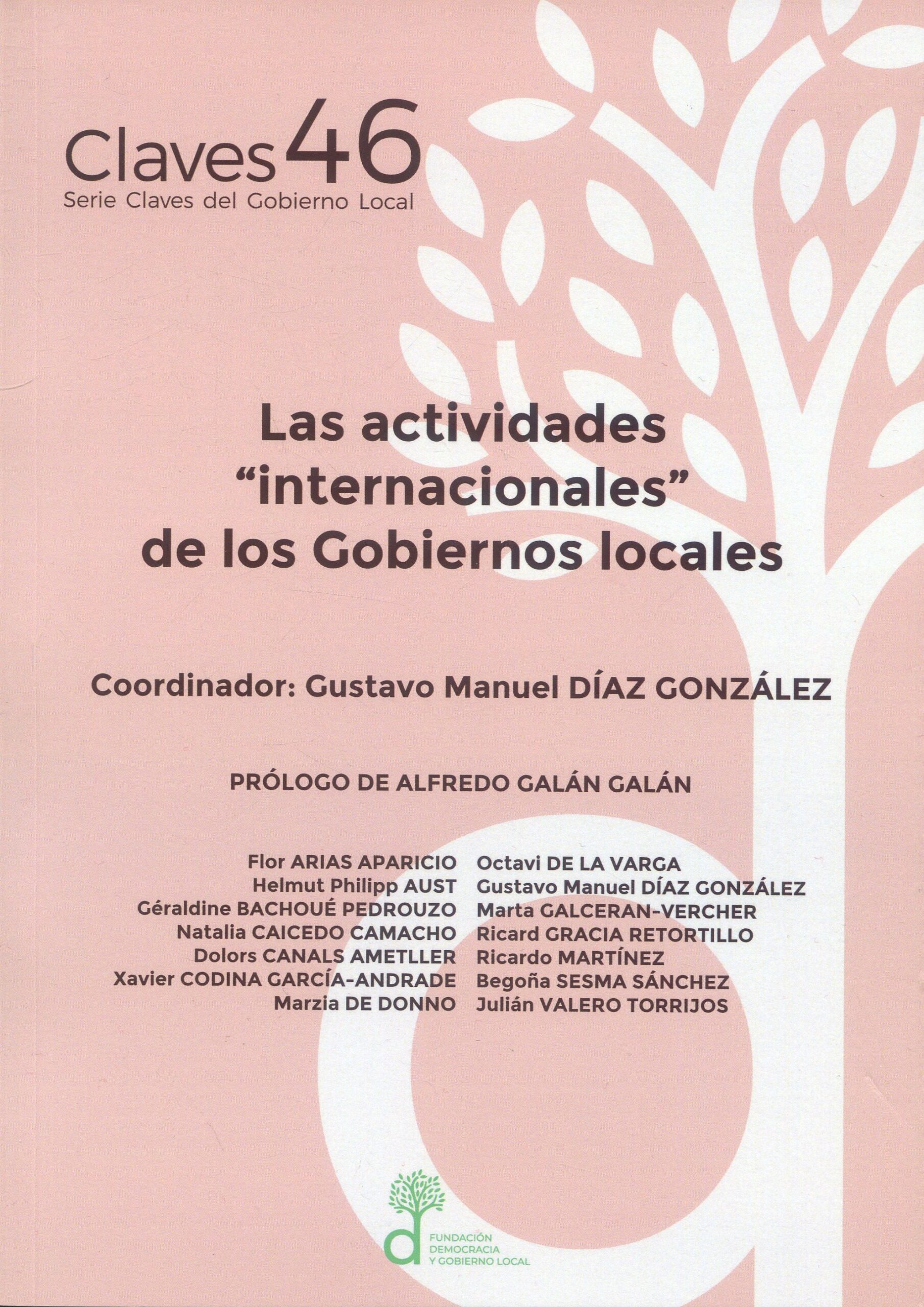 Actividades internacionales  Gobiernos locales / 9788412885248