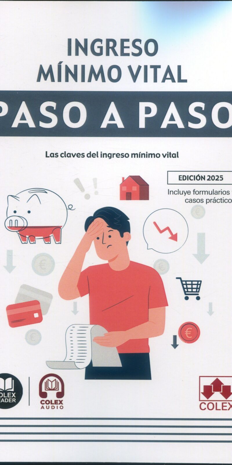 Ingreso mínimo vital / IBERLEY / 9788411948616