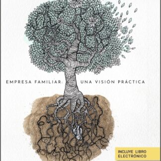 Empresa familiar: una visión práctica