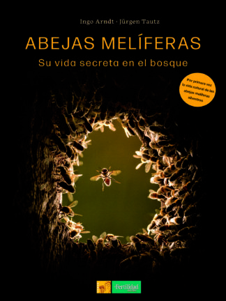 Abejas melíferas Su vida secreta en el bosque