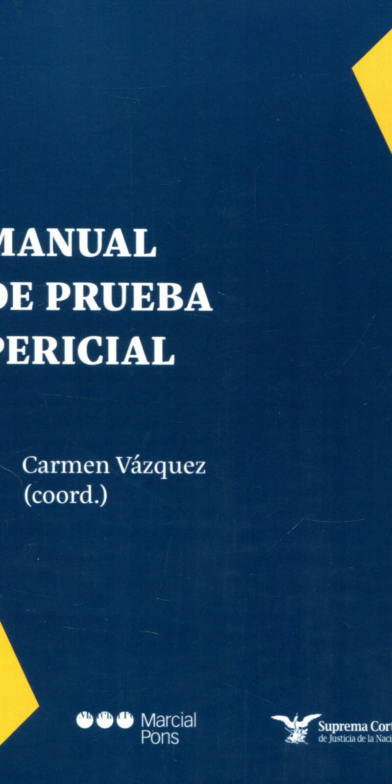 Manual de prueba pericial / Carmen Vázquez / 9788413817668