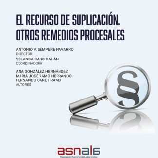 Recurso de suplicación. Otros remedios procesales