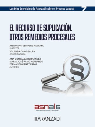 Recurso de suplicación. Otros remedios procesales