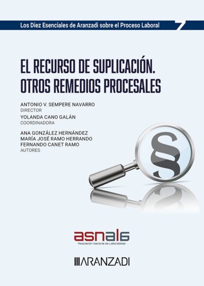 Recurso de suplicación. Otros remedios procesales