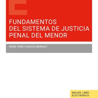 Fundamentos del sistema de justicia penal del menor