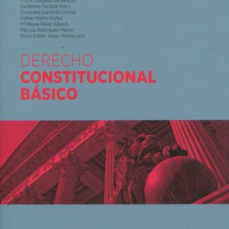 Derecho constitucional básico 2023