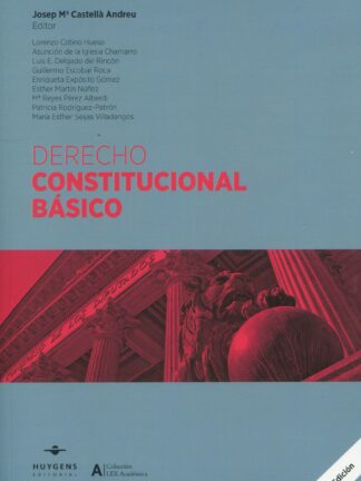 Derecho constitucional básico 2023