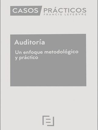 Auditoría. Un enfoque metodológico y práctico