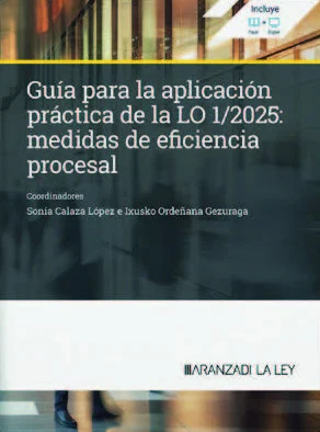 Guia para la aplicación práctica de la LO 1;2025: medidas de eficiencia procesal