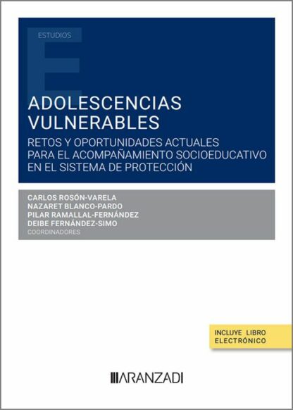 Adolescencias vulnerables. Retos y oportunidades actuales para el acompañamiento socioeducativo en el sistema de protección