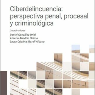 Ciberdelincuencia: perspectiva penal, procesal y criminológica