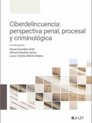 Ciberdelincuencia: perspectiva penal, procesal y criminológica