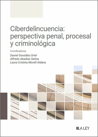 Ciberdelincuencia: perspectiva penal, procesal y criminológica