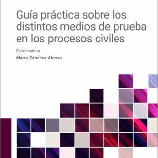 Guía práctica sobre los distintos medios de prueba en los procesos civiles