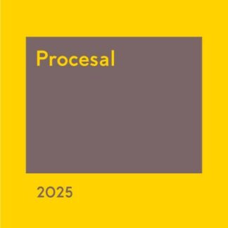 Memento Procesal 2025
