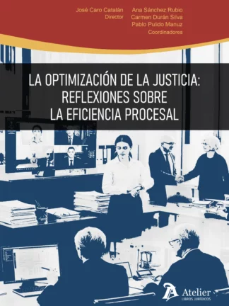 Optimación de la justicia: reflexiones sobre la eficiencia procesal
