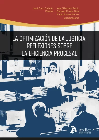 Optimación de la justicia: reflexiones sobre la eficiencia procesal