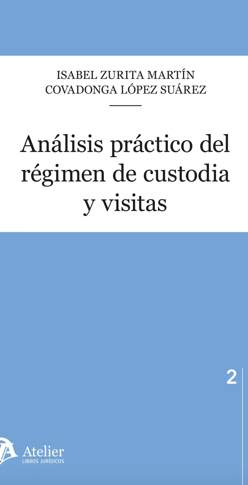 Análisis práctico del régimen de custodia y visitas /9791387543853