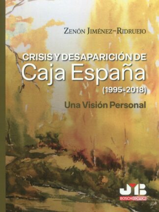 Crisis y desaparición de Caja España (1995-2018). Una visión personal