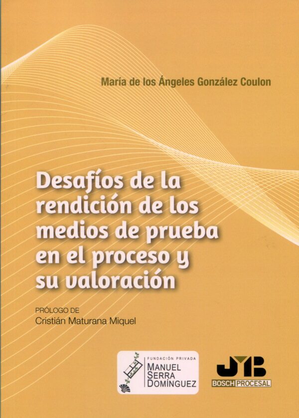 Desafíos rendición medios de prueba / 9788410448872
