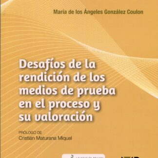 Desafíos de la rendición de los medios de prueba en el proceso y su valoración