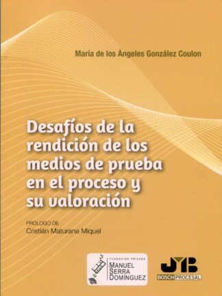 Desafíos de la rendición de los medios de prueba en el proceso y su valoración