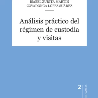 Análisis práctico del régimen de custodia y visitas