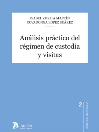 Análisis práctico del régimen de custodia y visitas