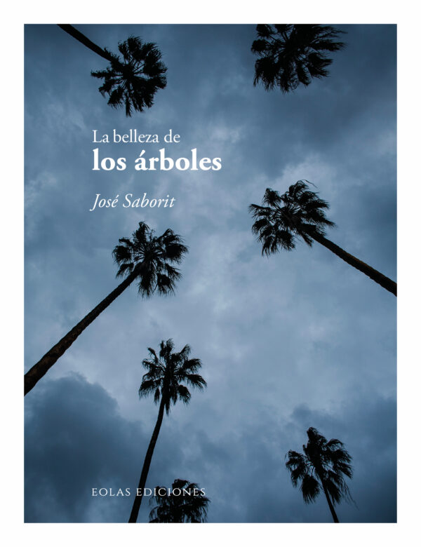 Belleza de los árboles