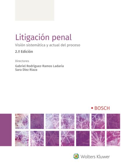 Litigación penal. Visión sistemática y actual del proceso